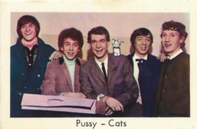 Pussi-Cats 1a.jpg